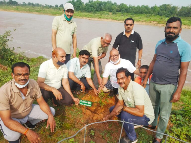 *हरिहर बिलासपुर पौधारोपण अभियान में रोपे गये 121 पौधे : बिलासा कला मंच के पदाधिकारियों के आतिथ्य में हुआ रोपण कार्य*